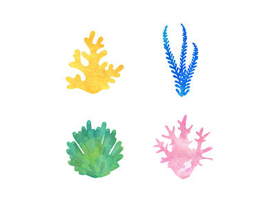 068 coral 100 days of illustration challenge coral day 68 illustration marine ocean request sea watercolor watercolour