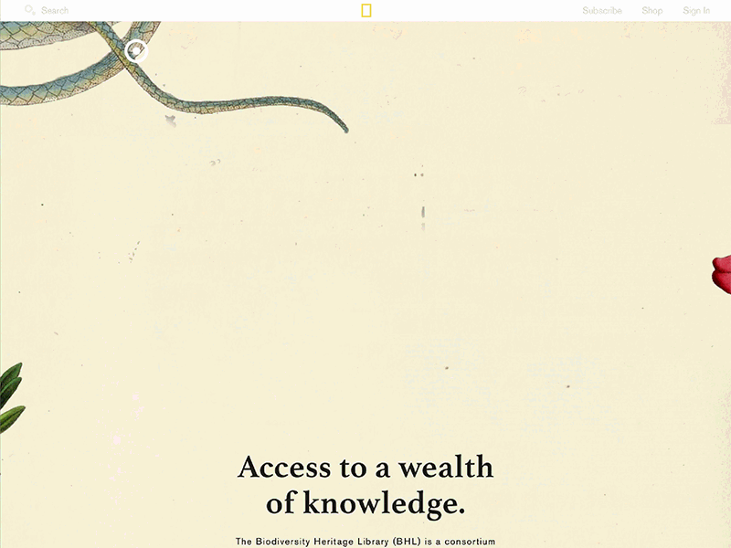 National Geographic Micro-Site Animation III education landing page micro site science web website