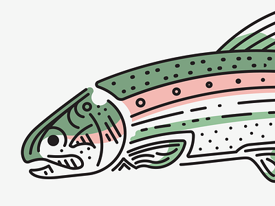 Rainbow Trout fish line rainbow trout