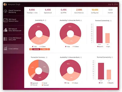 Data Analyzer dashboard ipad