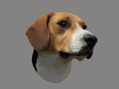 My girlfriend's Beagle art beagle dog drawing