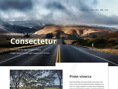 Website template template web