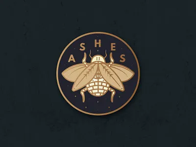 Ashes to Ashes ashes bug illustration illustrator occult pin