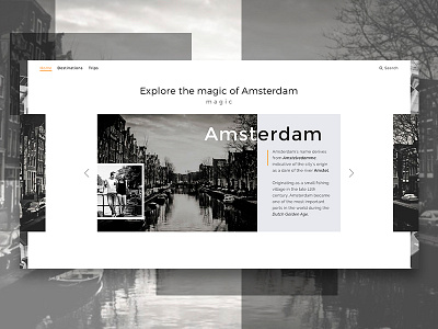 Amsterdam amsterdam blackwhite design grey interface ui