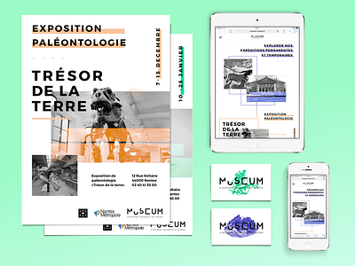 Natural history-museum of Nantes Brand identity brand brand identity identity logo logotype ui ux