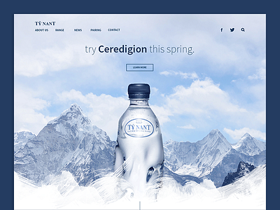 Tŷ Nant Landing Page Redesign clean daily ui landing minimalist ux website