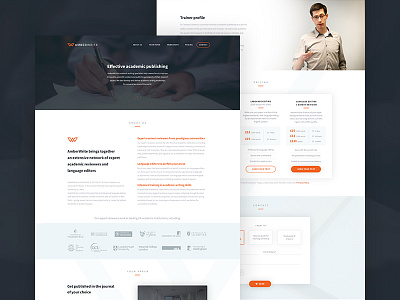 AmberWrite landing page landing pricing publishing web