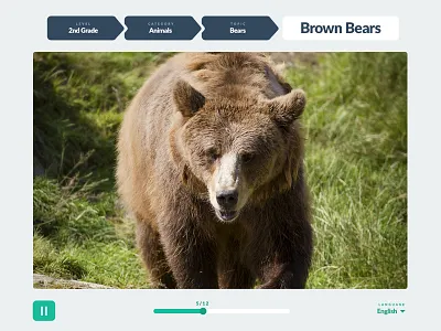 Childhood Education Desktop Web App app ui ux video viewer