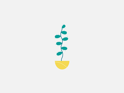 #Outdoor60 - 4/60: Cactus cactus green outdoor60 plant pot