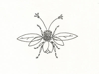 Beetanical bee flora flowers growth honey bee ink nectar plants pollen