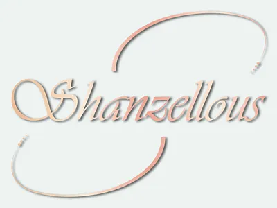 Shanzellous – Elegance in Every Thread brands color psychology elegance elements fonts graphic design logo typography