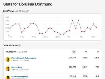 Mannschaft borussia dortmund dribbble roster stats teams