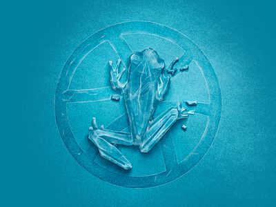 Hello dribbble! crystal debute design dribbble frog frozen ice illustration winter