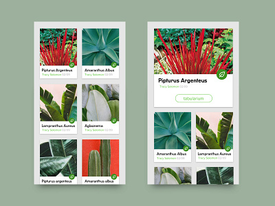 Tabularium app design botanical interface design technology ui