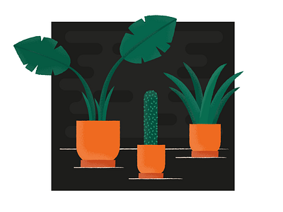 Plants 🌿 design illustration plants texture vector