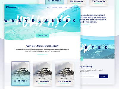 Wasteland Ski Homepage brand branding cool fresh mint ski snowboard travel agent ui web web design website