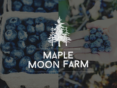 Maple Moon Farm Logo faded farm logo pine pine tree rustic stamped vintage