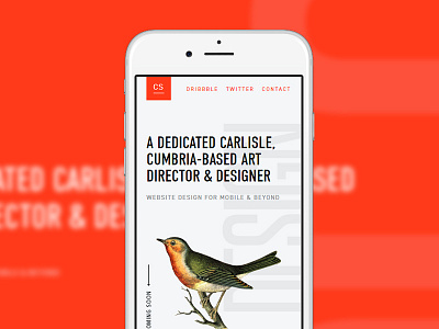 csharpdesign v6million clean layout mobile portfolio red web design website