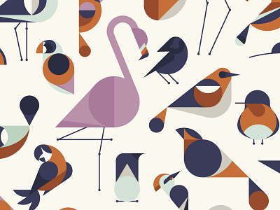 Birds WIP bird flamingo illustration parrot robin woodpecker