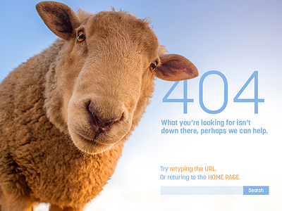 Daily UI 008 404 BAAAH bah daily ui graphic design sheep web