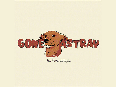 Gone Astray dogs mexico stray dog