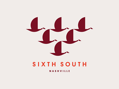 Sixth South bird birds geese goose tennessee