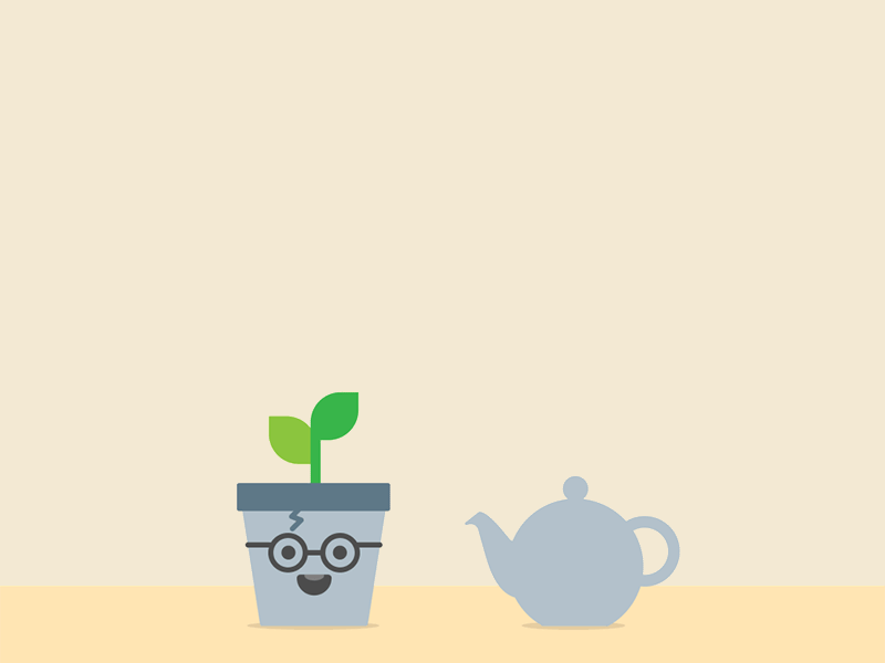 Reports - Delight Land animation graph harrypotter money plant teapot vend