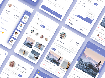 photo-sharing app app collection photo ui