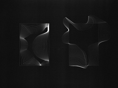 Started from some rectangles... now we're here abstract black and white line art lines liquify