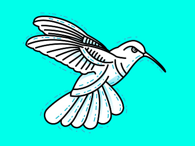 humming bird... illustration