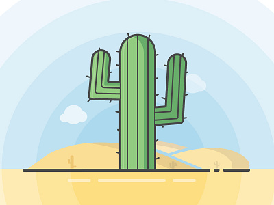 Cactus Fun cactus desert