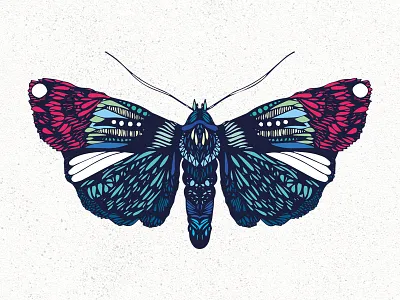 Hawkwing Moth animals art design illustration moth