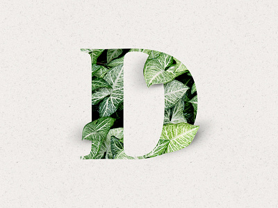 Leaves | Illustration art card concept creative graphic graphicdesign illustration leaves paper type typedesign typography