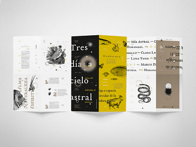 Desplegable/ Festival astrológico astrology branding brochure design desplegable fadu festival gabriele grid layout