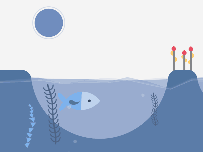 Fish in water! 2d aftereffects animation motiondesign water