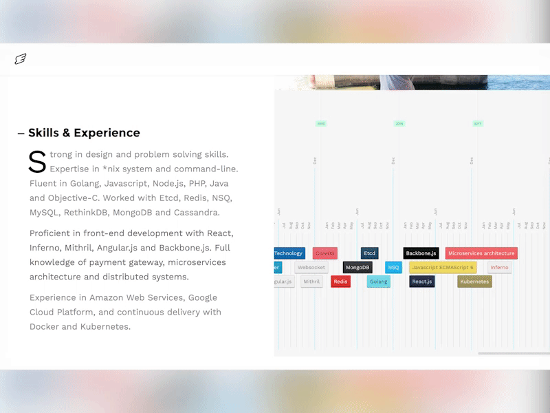 Skills Timeline Animated experience portfolio skills