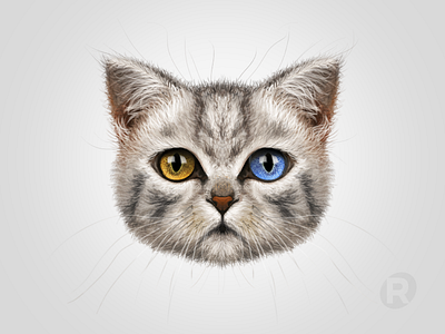 CAT cat