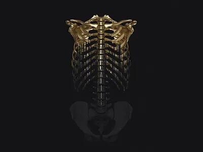 Carpe Noctem 3d billelis black engraved gold latin ornate pattern skull statue vector