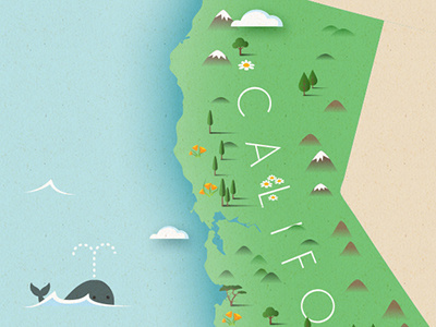 California california whale