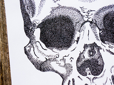 Stippled skull drawing graphic design illustration pen and ink stippling