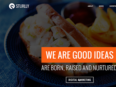 Sturlly - Responsive MultiPurpose WordPress Theme clean fashion gallery modern multipurpose photography portfolio restaurant resume salon spa travel