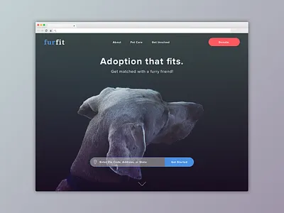 #003 / Landing Page 003 above the fold adoption animals daily ui landing page web design
