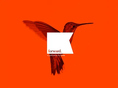 Unused Publication Branding bird brand forward hummingbird publication