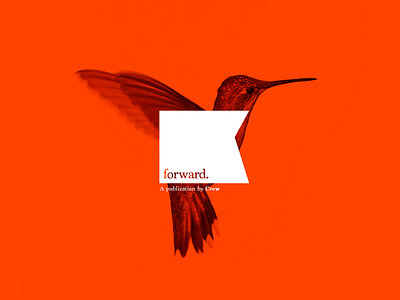 Unused Publication Branding bird brand forward hummingbird publication