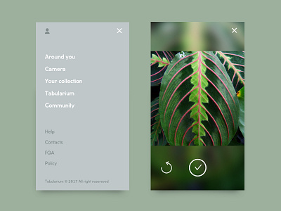 Tabularium menu and camera illustration nature typography ui