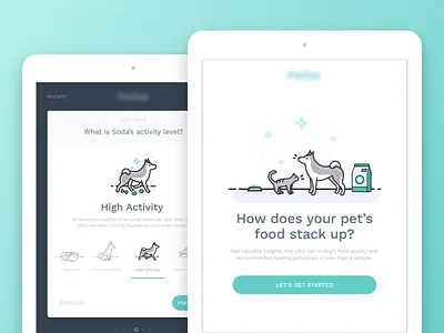 iPad Survey cat dog ipad pet survey