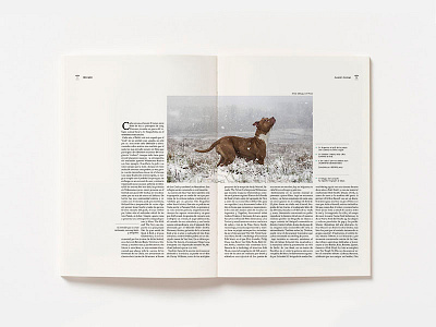 Doble pág. revista/ Bocado animals cosgaya design dogs editorial editorial design fadu graphic design landfill dogs magazine type typography