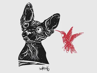 Tolérance II bird black cat drawings dribbble editorial illustration illustrator shot sphynx