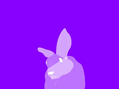 Bunnie Shot bunny