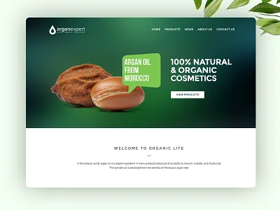 Argan Expert – Natural & Organic Cosmetics argan beauty cosmetics green natural oil organic ui uidesign ux